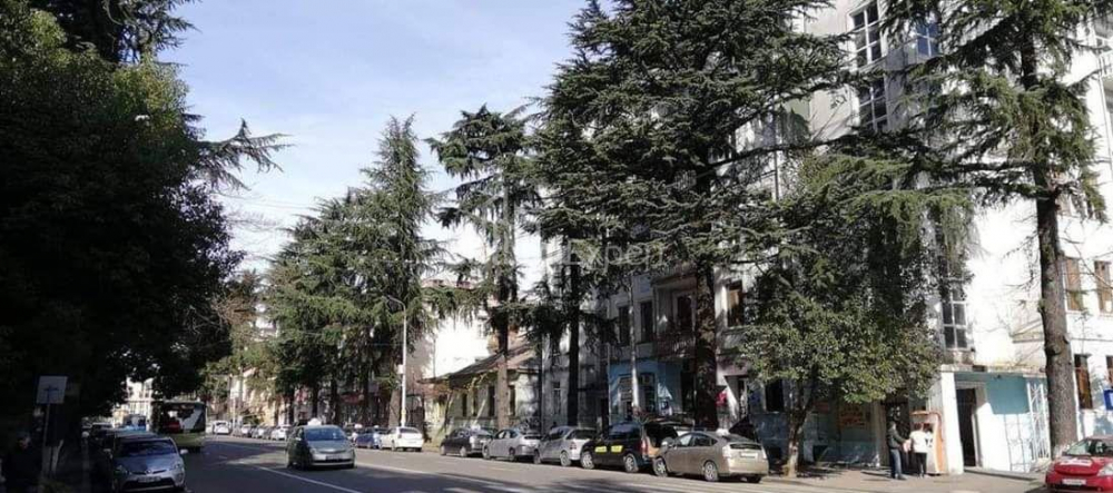 Daire 61 m² Daire - Nikoloz Baratashvili, Batumi, Gürcistan