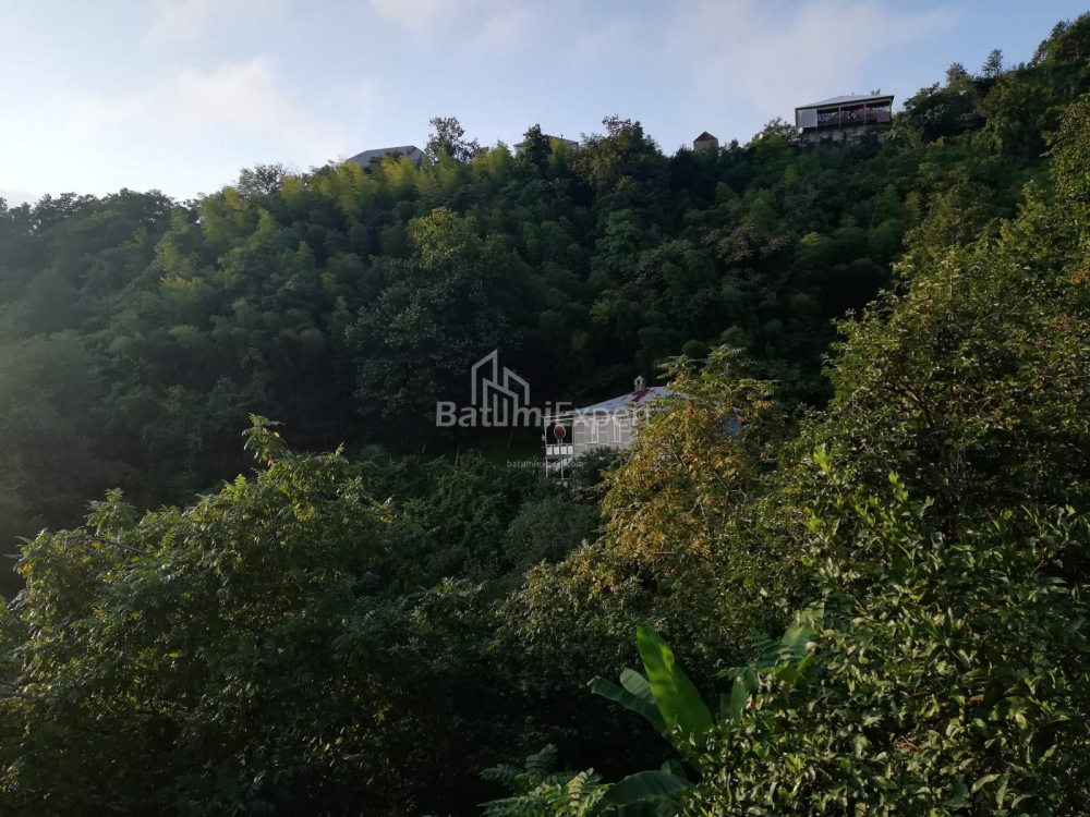 Mesken 2501 m² Daire - Akaki Shainidze, Khelvachauri, Gürcistan