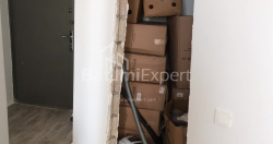 Daire 48 m² Daire - Palavandişvili, Batumi, Gürcistan