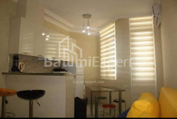 Daire 1-oda 29 m² - Zuraba Gorgiladze, Batumi