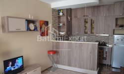 Daire 64 m² Daire - Şalva Inasaridze, Batumi, Gürcistan