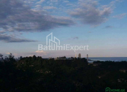 Arsa 300 m² - Yurievskaya, Batumi
