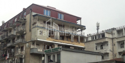 Daire 87-oda - Petra Melikişvili, Batumi