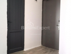 Daire 2-oda 48 m² - Alexandra Puşkin, Batumi