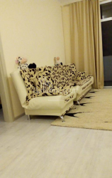 Daire 2-oda 55 m² - Mihail Lermontov, Batumi