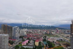Daire 2-oda 45 m² - Zuraba Gorgiladze, Batumi