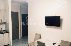 Daire 2-oda 40 m² - Tbel-Abuseridze, Batumi