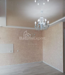 Daire 2-oda 47 m² - Yusuf Kobaladze, Batumi