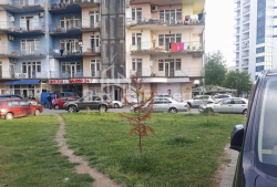 Daire 1-oda 286 m² - Şerif Khimshiashvili, Batumi