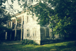 Daire 10-oda 300 m² - Yurievskaya, Batumi