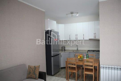 Daire 3-oda 65 m² - Şalva Inasaridze, Batumi