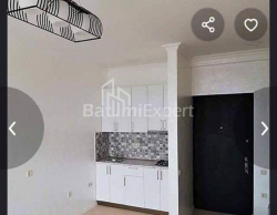 Daire 2-oda 45 m² - İlya Çavçavadze, Batumi