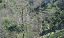 Daire 170 m² Daire - Yurievskaya, Batumi, Gürcistan