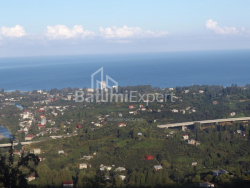 Mesken 5000 m² Daire - Mezgvarta, Chakvi, Gürcistan