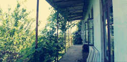 Mesken 3065 m² Daire - Ağmaşenebeli, Chakvi, Gürcistan