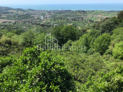 Mesken 2255 m² Daire - Ağmaşenebeli, Chakvi, Gürcistan