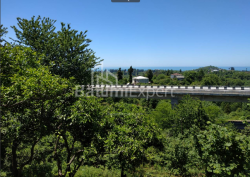 Arsa 536 m² - Ağmaşenebeli, Chakvi