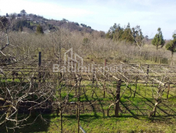 Arsa 4260 m² Daire - David Agmashenebeli, Kobuleti, Gürcistan