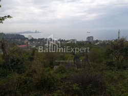 Arsa 1000 m² - Ahalgazrdoba, Makhinjauri
