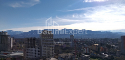 Daire 1-oda 31.3 m² - Şalva Inasaridze, Batumi