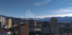 Daire 1-oda 31.3 m² - Şalva Inasaridze, Batumi