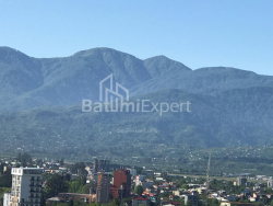 Daire 28.8 m² Daire - Yusuf Kobaladze, Batumi, Gürcistan