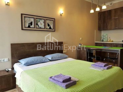 Daire 1-oda 29 m² - Zuraba Gorgiladze, Batumi