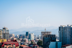Daire 33.1 m² Daire - Şalva Inasaridze, Batumi, Gürcistan