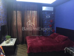 Daire 1-oda 24.1 m² - Yusuf Kobaladze, Batumi