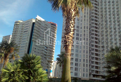 Daire 29 m² Daire - Zuraba Gorgiladze, Batumi, Gürcistan