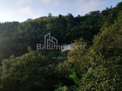Mesken 4-oda 2501 m² - Akaki Shainidze, Khelvachauri
