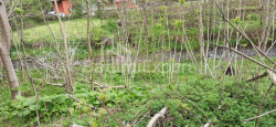 Dükkan 401 m² Daire - Mezgvarta, Chakvi, Gürcistan