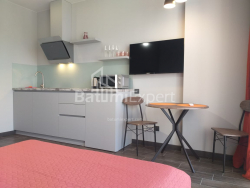 Daire 1-oda 31.3 m² - Şalva Inasaridze, Batumi