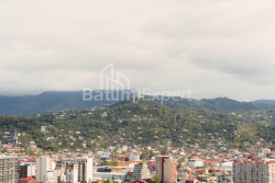 Daire 52.5 m² Daire - Ekvtime Takaishvili, Batumi, Gürcistan