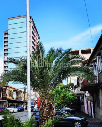 Daire 80 m² Daire - İlya Çavçavadze, Batumi, Gürcistan